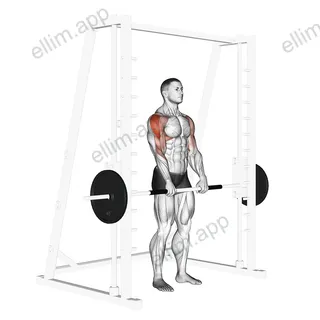 Smith Upright Row exercise targeting Shoulders and Deltoid Lateral