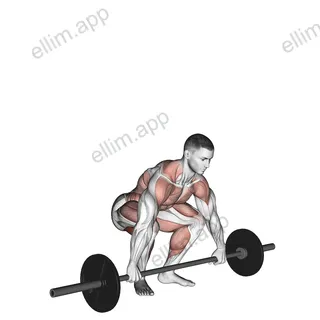 Snatch Pull exercise targeting Thighs and Adductor Magnus