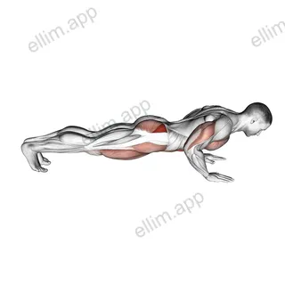 Spider Crawl Push up exercise targeting Hips and Gluteus Medius
