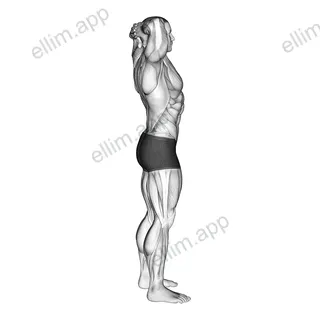Spine Backbend Stretch exercise targeting Hips and Erector Spinae