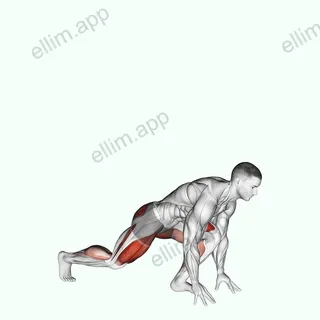 Split Sprinter High Lunge exercise targeting Gluteus Maximus and Quadriceps