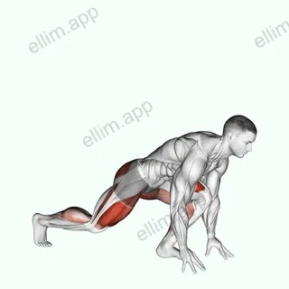Split Sprinter Low Lunge exercise targeting Gluteus Maximus and Quadriceps