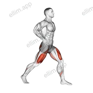 Split Squats exercise targeting Gluteus Maximus and Quadriceps