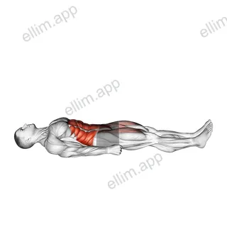 Sprinter Crunch exercise targeting Waist