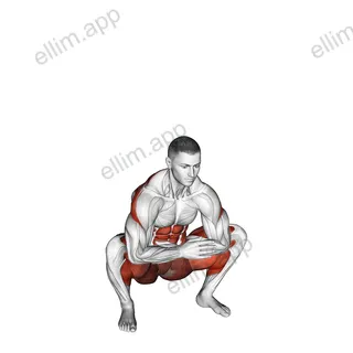 Squat Mobility Twist exercise targeting Waist