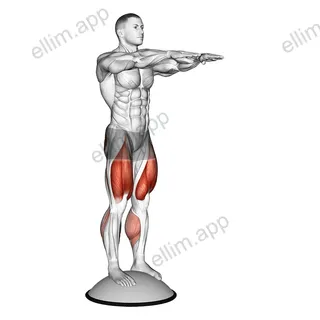 Squat On Bosu Ball exercise targeting Thighs and Gluteus Maximus