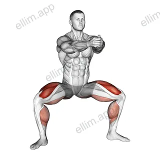 Squat Tip Toe exercise targeting Thighs and Gluteus Maximus