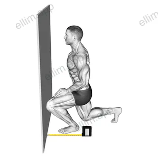 Squats Knee Position exercise targeting Thighs