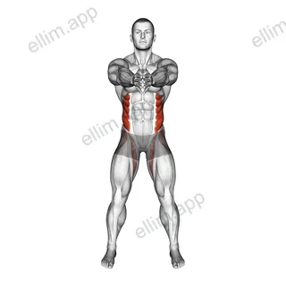 Standing Ab Twist exercise targeting Waist and Obliques