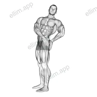 Standing Abs Rotation Stretch exercise targeting Waist and Obliques