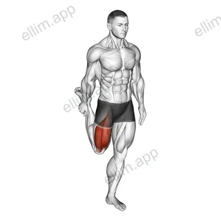 Standing Balance Quadriceps Stretch exercise targeting Thighs and Quadriceps