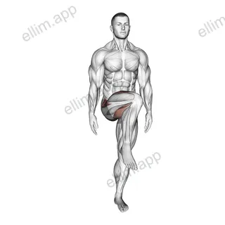 Standing Bent Knee Figure 8 exercise targeting Hips and Adductor Brevis