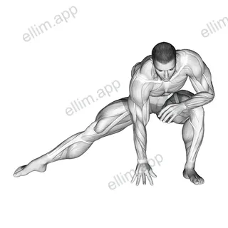 Standing Bent Knee Hip Adductor Stretch exercise targeting Hips