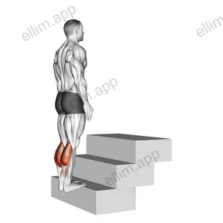 Standing Calf Raise (On a staircase) exercise targeting Calves and Gastrocnemius
