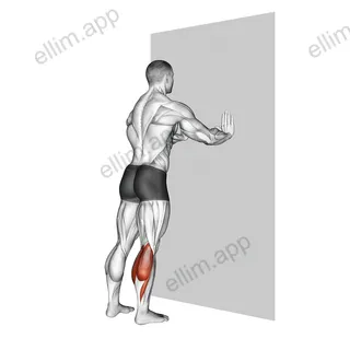 Standing Gastrocnemius exercise targeting Calves and Gastrocnemius