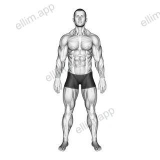 Standing Hands Position (Pronation Supination Neutral) exercise targeting Forearms
