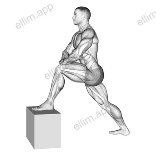 Standing Hip Flexor Stretch exercise targeting Thighs
