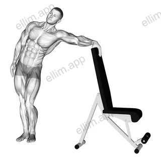 Standing Hip Out Aductor Stretch exercise targeting Hips
