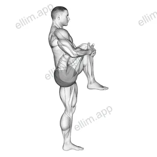 Standing Knee To Chest Stretch exercise targeting Hips