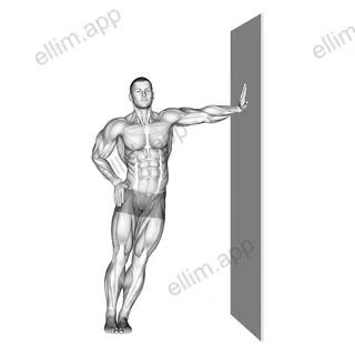 Standing Lower Trunk Lateral Flexor Stretch exercise targeting Back