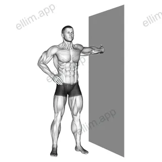Standing one arm chest stretch exercise targeting Chest and Pectoralis Major Clavicular Head
