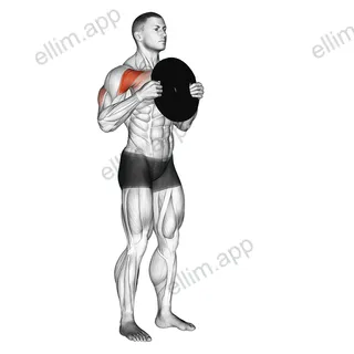 Standing Plate Presses exercise targeting Shoulders and Deltoid Anterior