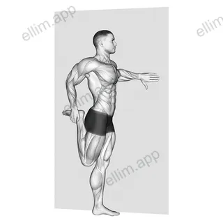 Standing Quadriceps Stretch exercise targeting Thighs and Quadriceps