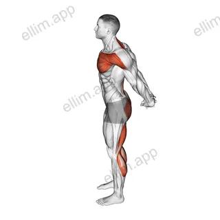 Standing Seal Yoga Pose exercise targeting Stretching