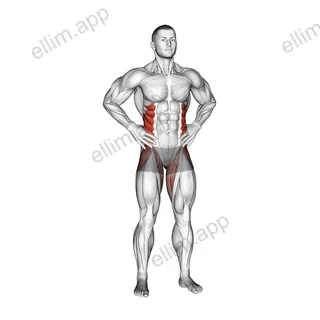 Standing Side Leg Raise exercise targeting Hips and Gluteus Medius