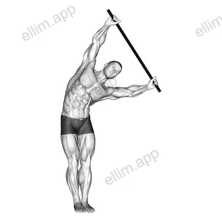 Standing Side Stretch With Stick exercise targeting 