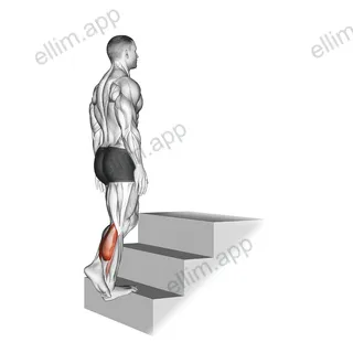 Standing Single Leg Calf Raise (On a staircase) exercise targeting Calves and Gastrocnemius