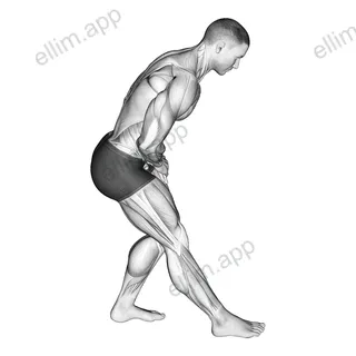 Standing Toe Down Hamstring Stretch exercise targeting Thighs