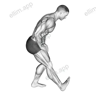 Standing Toe Up Hamstring Stretch exercise targeting Thighs