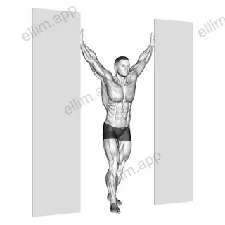 Standing Upright Shoulders Stretch exercise targeting Shoulders