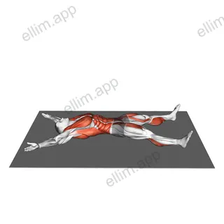 Starfish Crunch (beginner) exercise targeting Waist and Iliopsoas