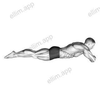 Static Position Lying Front exercise targeting 