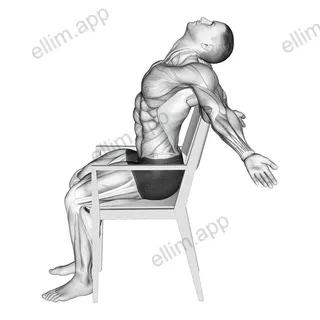 Static Position Seated Back exercise targeting 