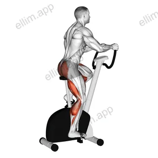 Stationary Bike Walk exercise targeting Cardio
