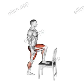 Step up on Chair exercise targeting Hips and Thighs