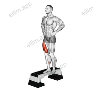 Stepdown Squat exercise targeting Thighs