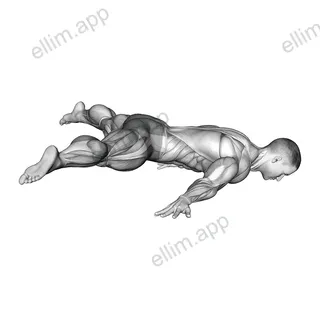 Straddle Maltese exercise targeting Waist