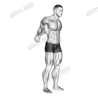 Straight Arms Backward Chest Stretch exercise targeting Chest