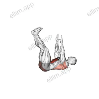 Straight Leg Dead Bug exercise targeting Waist