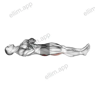 Straight Leg Hip Bridge exercise targeting Hips
