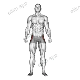Straight Leg Outer Hip Abductor exercise targeting Hips and Gluteus Medius