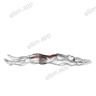 Straight Leg Sit-up exercise targeting Waist and Iliopsoas