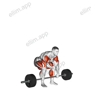 StrongMan Apollons Axle exercise targeting Forearms and Hips