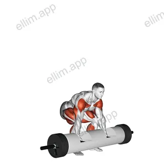 StrongMan Log Lift exercise targeting Weightlifting