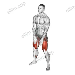 Sumo Squat Floor Touch exercise targeting Hips and Gluteus Maximus