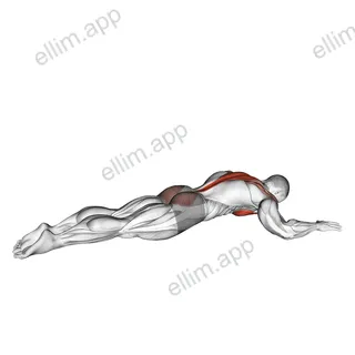 Superman Chest Stretch exercise targeting Hips and Deltoid Anterior